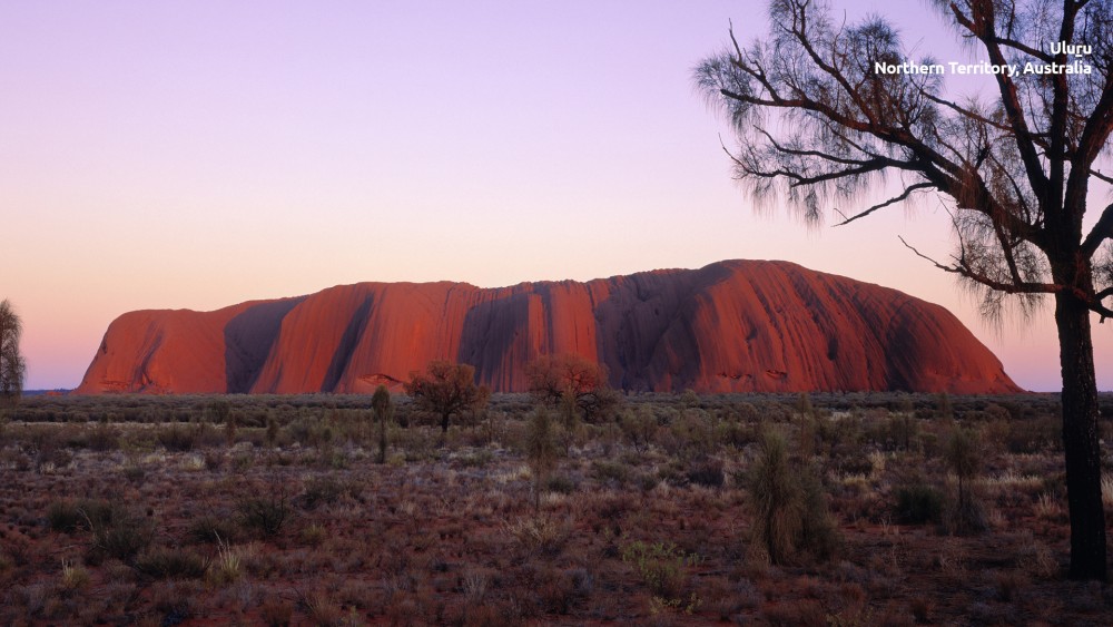 Zoom Uluru Backdrop