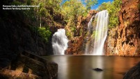 Zoom Florence Falls Backdrop