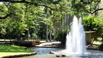 Botanic Gardens Water Feature