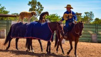 Horses and Dogs in Katherine Outback