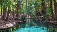 Mataranka Hot Springs