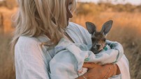 Person Holding a Baby Kangaroo
