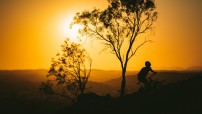 image of sunset with silhoutte of tree and MBT rider