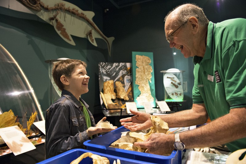 Showing a child MAGNT exhibition