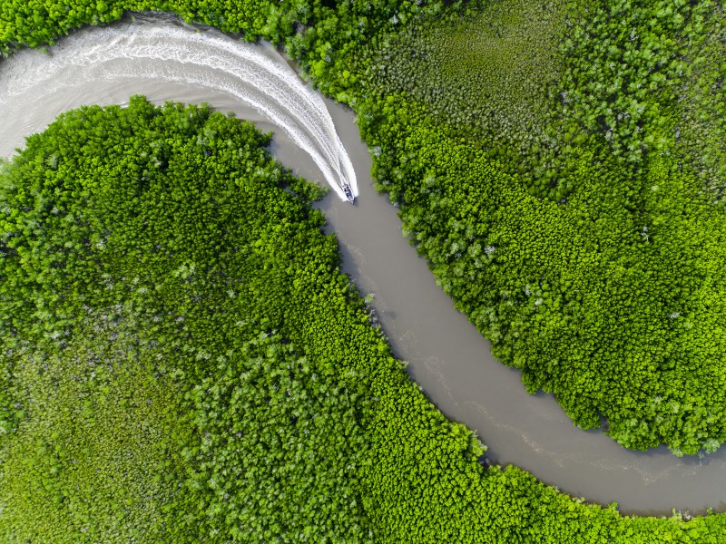 Boat traveling on a winding river