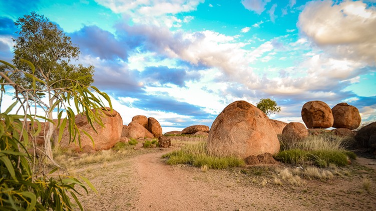 Barkly Region Landscape