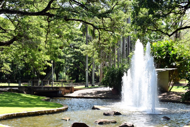 Botanic Gardens Water Feature