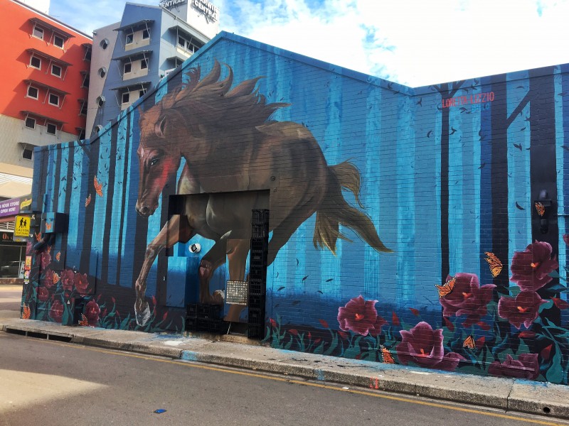 Darwin Street Art