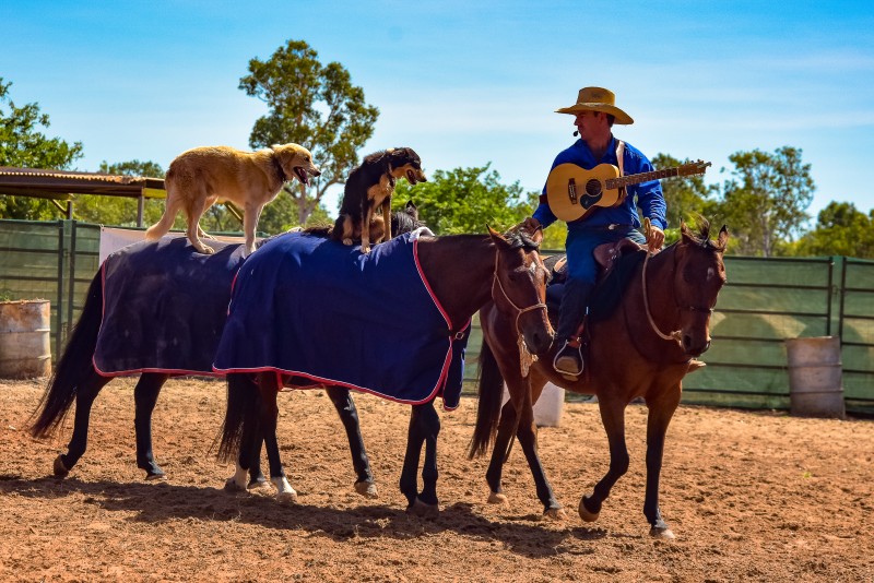 Horses and Dogs in Katherine Outback