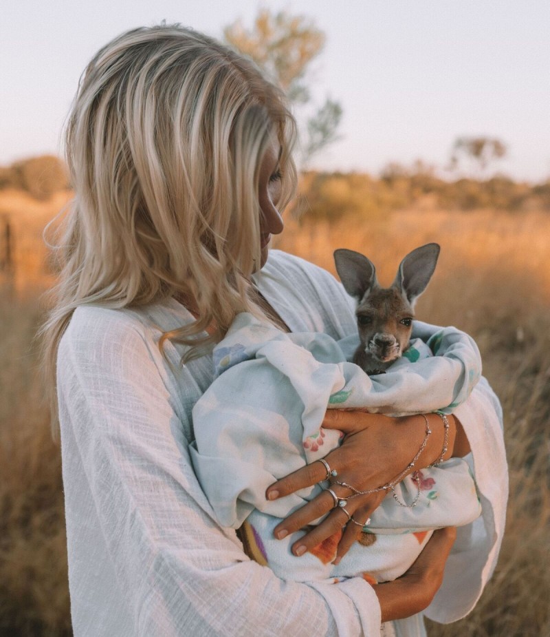 Person Holding a Baby Kangaroo