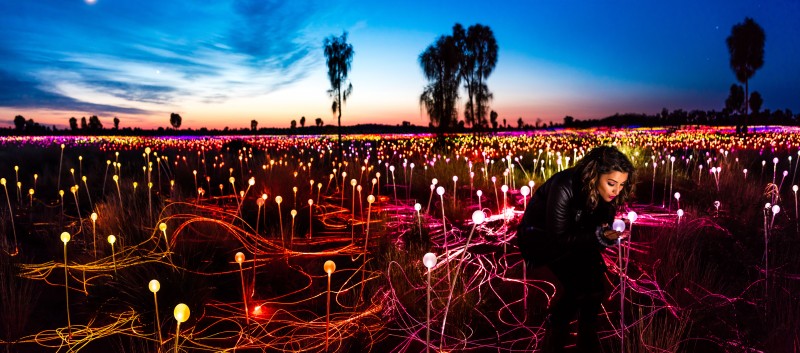 Field of Light in Uluru