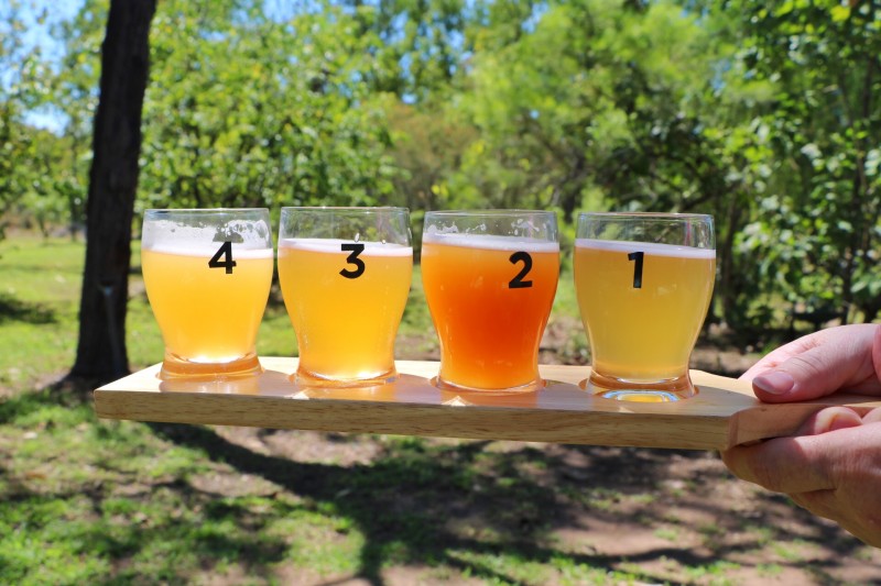 Purple Mango Brewery Beer Tasters