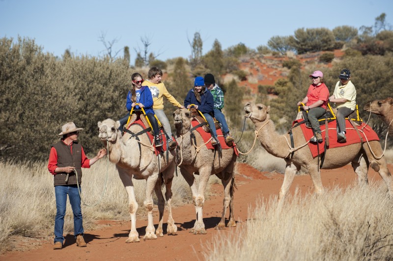 Pydan Camel Tracks in Alice Springs