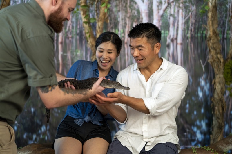 image of couple being shown a baby crocodile by a handler