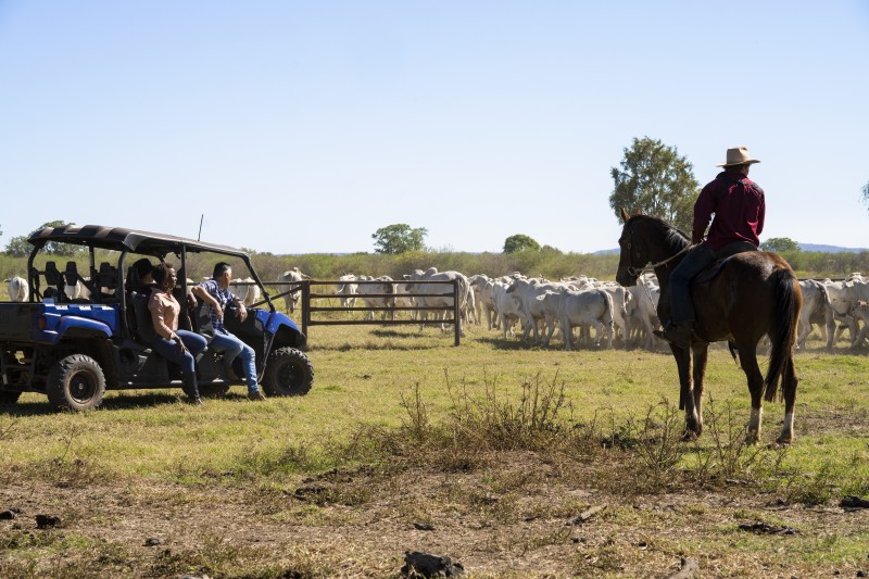 Pastoral and Agricultural tourism