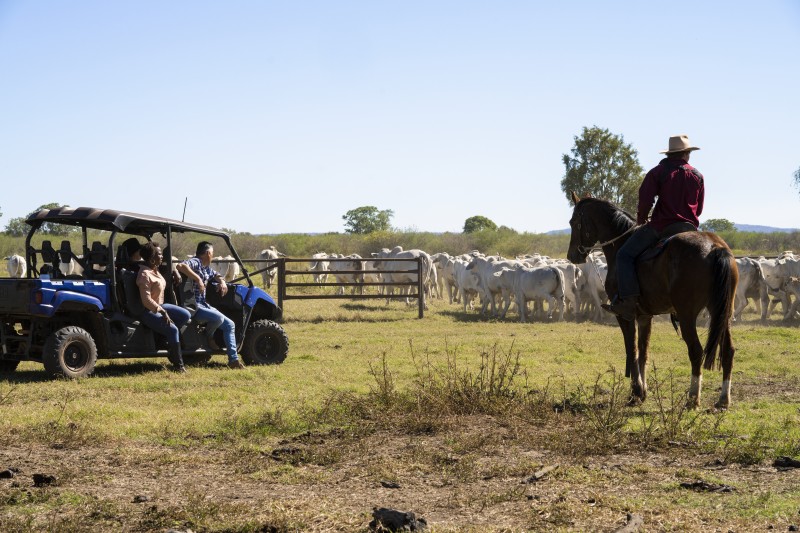 Pastoral and Agricultural tourism 