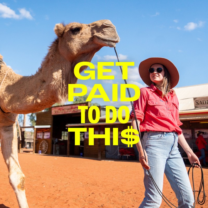 woman guiding camel