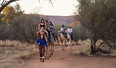 Horse ride